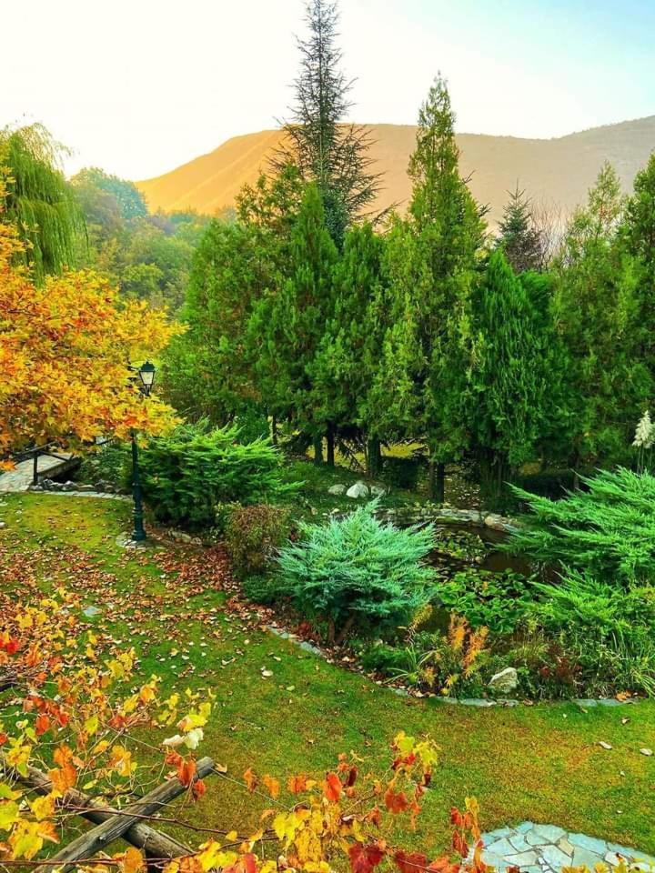 Tzivaeri Otel Likodhrómion Dış mekan fotoğraf