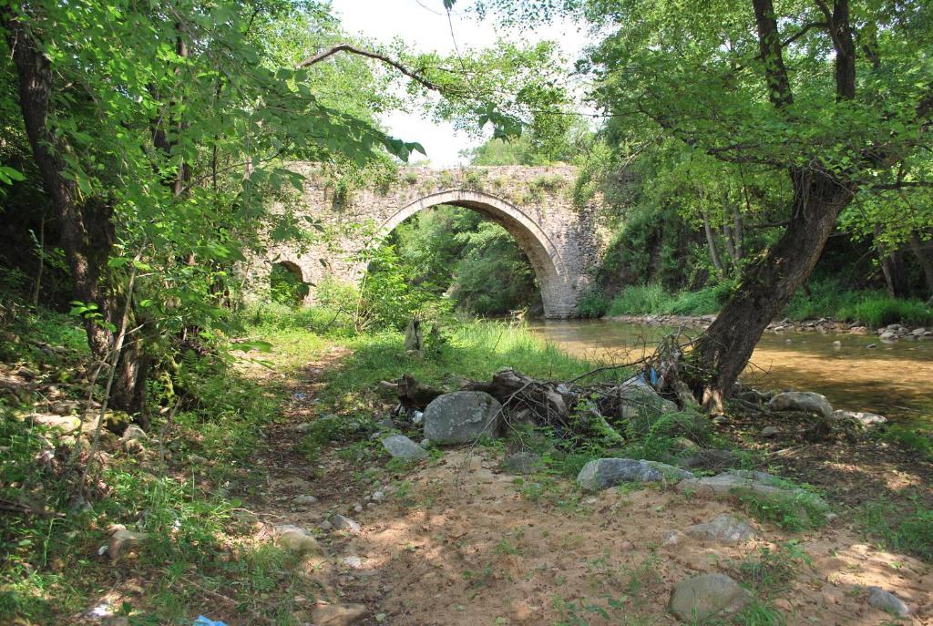 Tzivaeri Otel Likodhrómion Dış mekan fotoğraf