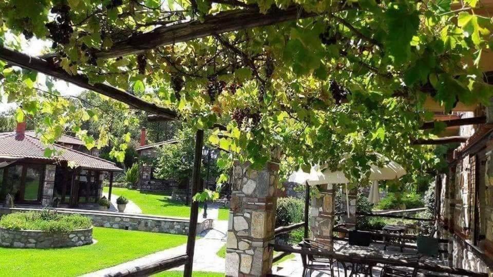Tzivaeri Otel Likodhrómion Dış mekan fotoğraf